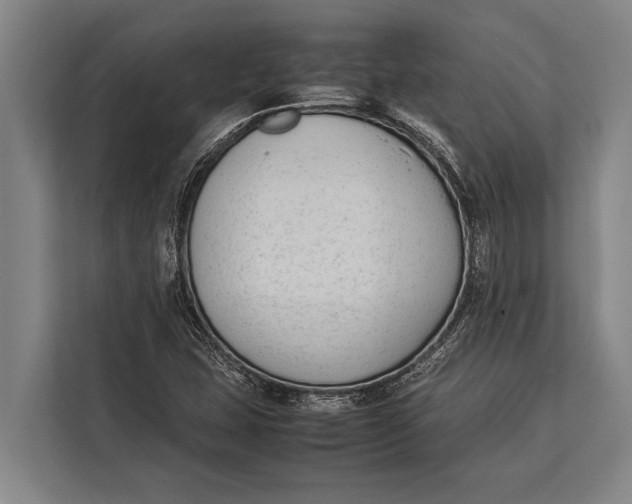 X0000113031407200909171452