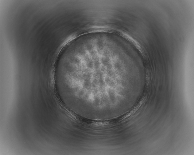 X0000113031411200909171452