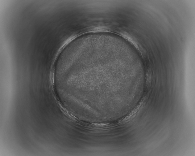 X0000113031413200909171452