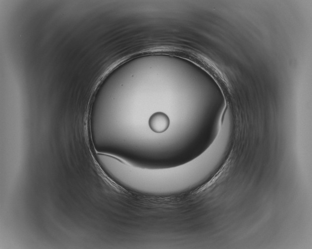 X0000113031417200909171452