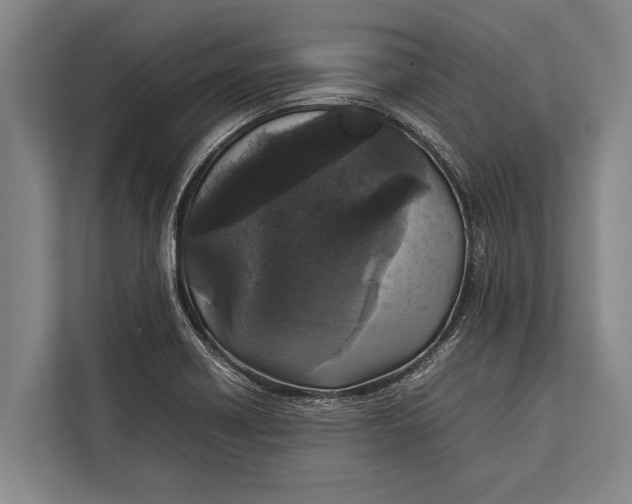 X0000113031418200909171452