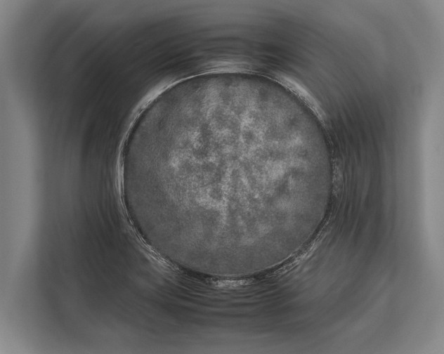 X0000113031419200909171452