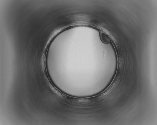 X0000113031421200909171452