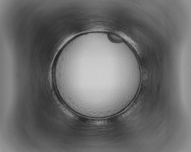 X0000113031423200909171452