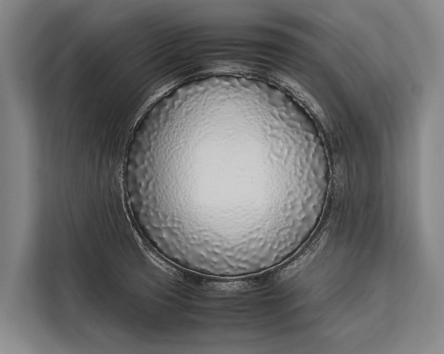 X0000113031425200909171452