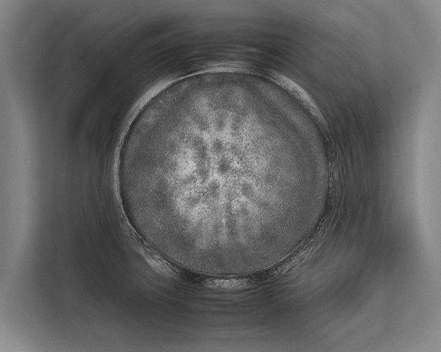 X0000113031427200909171452