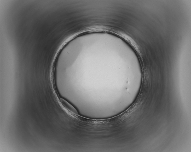 X0000113031429200909171452