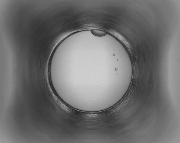 X0000113031431200909171452