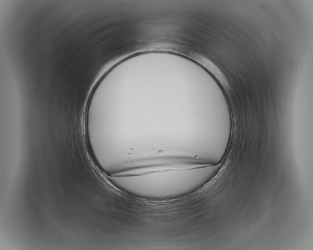 X0000113031436200909171452