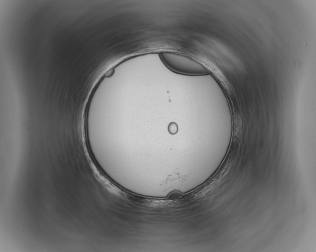 X0000113031439200909171452