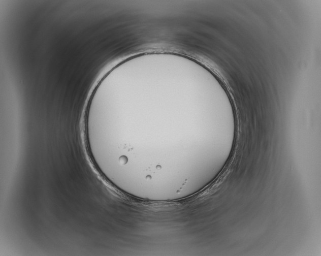 X0000113031440200909171452