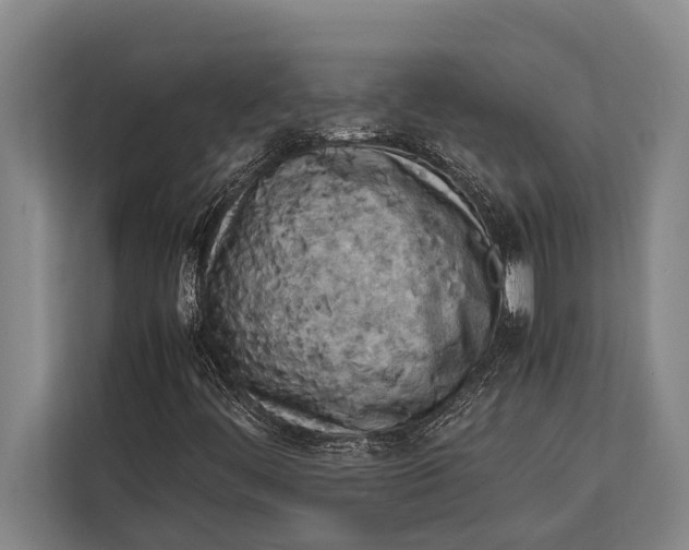 X0000113031444200909171451