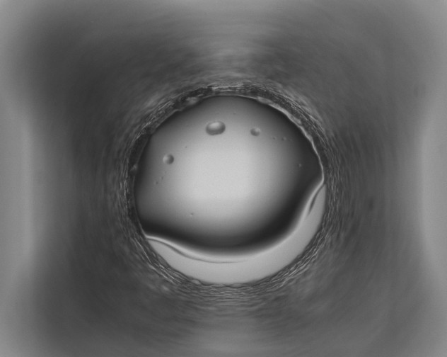 X0000113031445200909171451