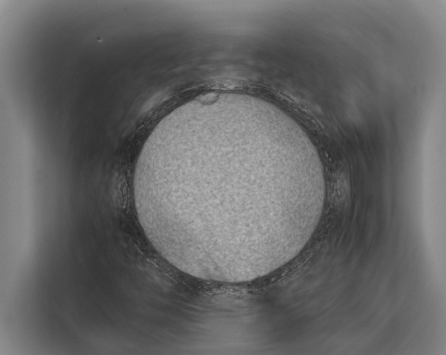 X0000113031446200909171451