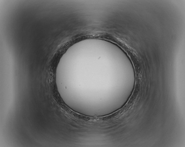 X0000113031447200909171451