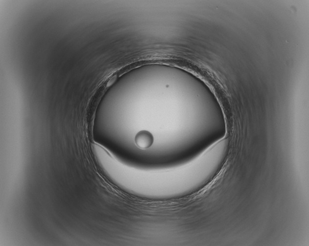 X0000113031449200909171451