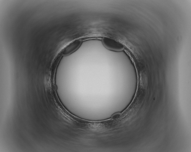 X0000113031452200909171451