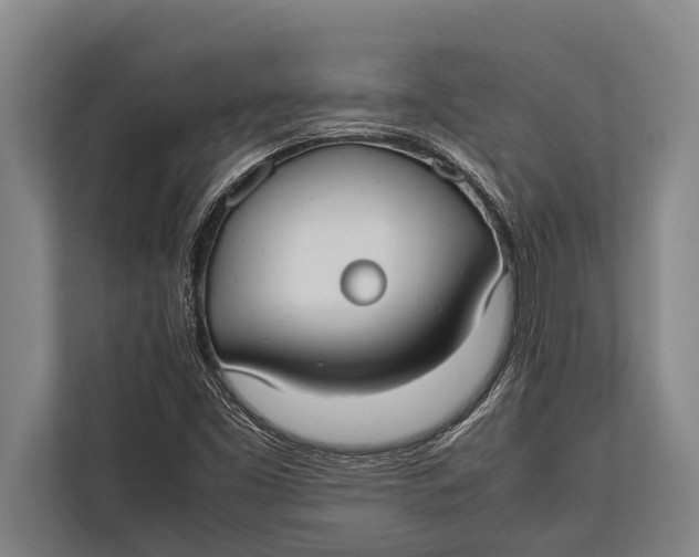 X0000113031453200909171451