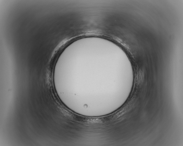 X0000113031454200909171451