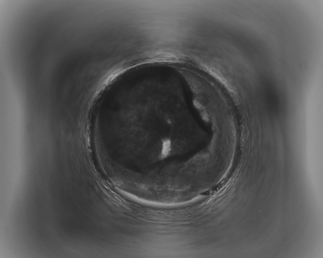 X0000113031455200909171451