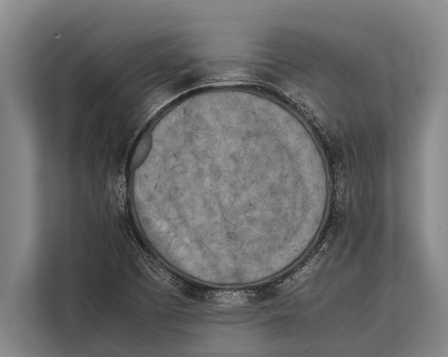 X0000113031457200909171451