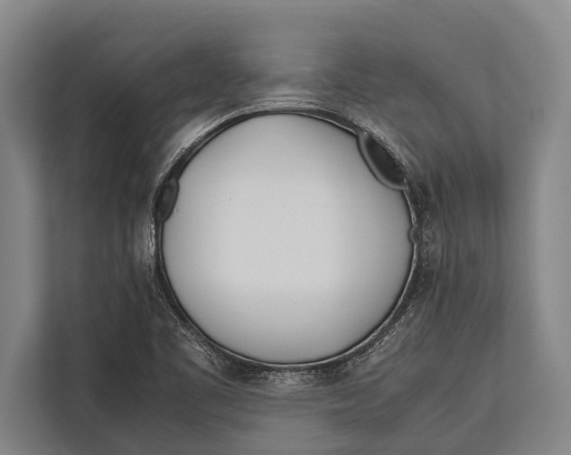 X0000113031461200909171451