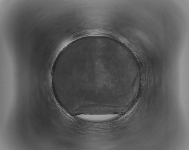 X0000113031463200909171451