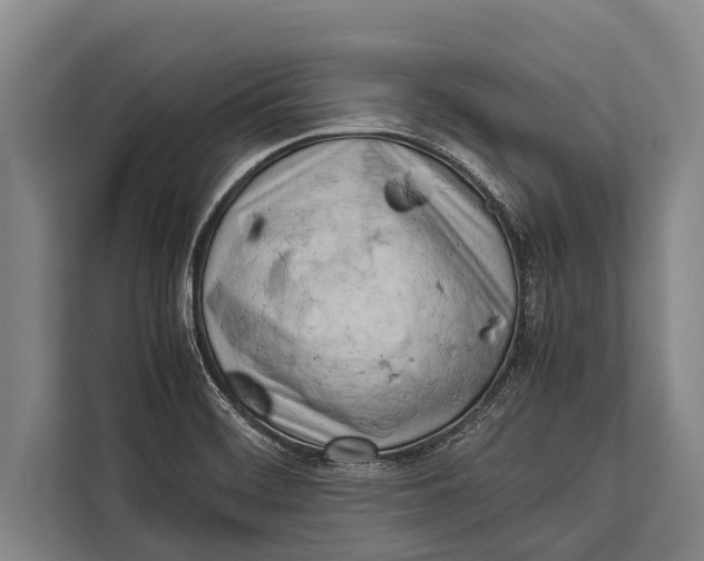 X0000113031468200909171451