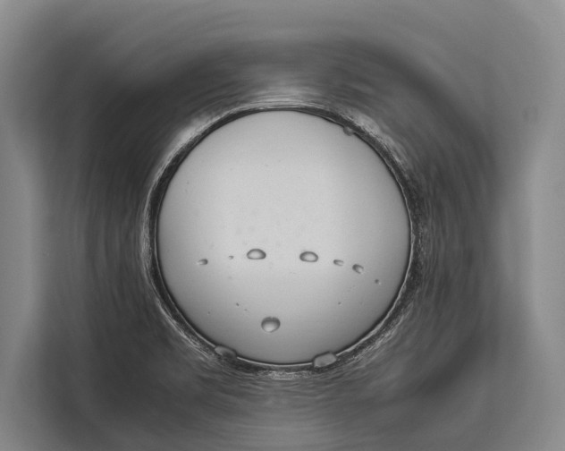 X0000113031469200909171451