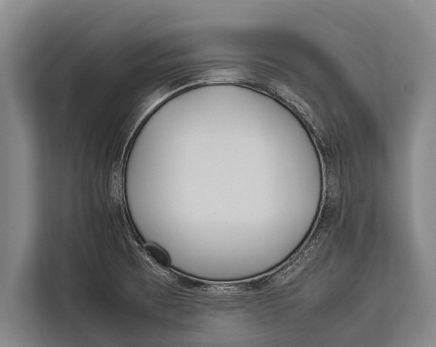 X0000113031473200909171451