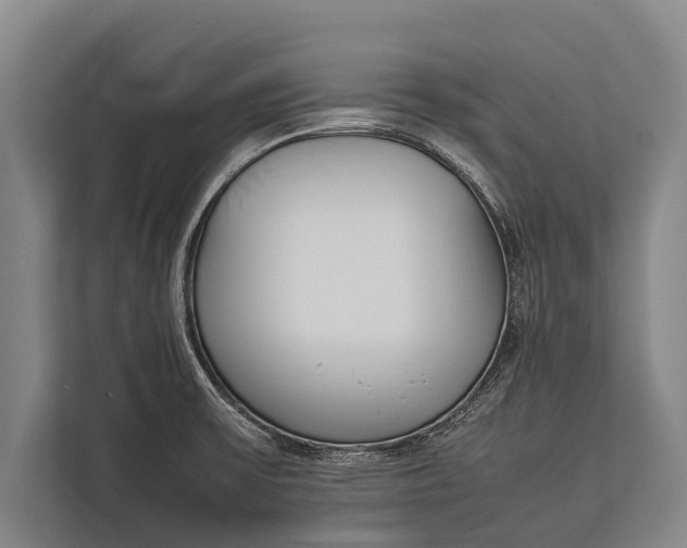 X0000113031475200909171451