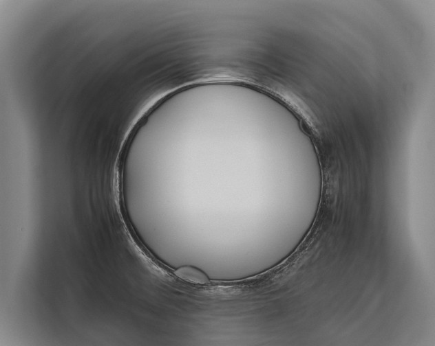 X0000113031476200909171451