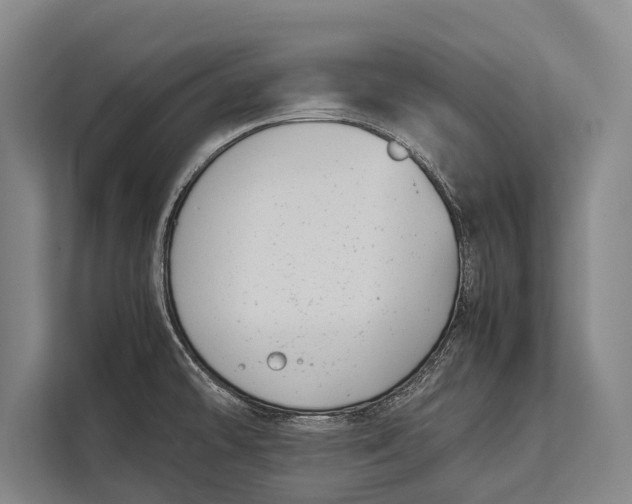 X0000113031478200909171451