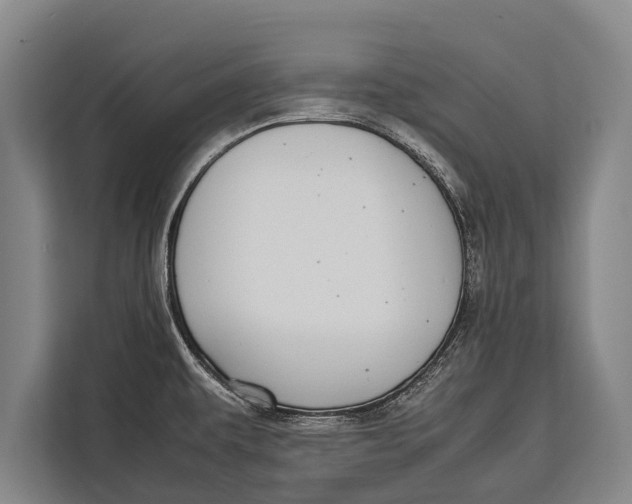 X0000113031479200909171451