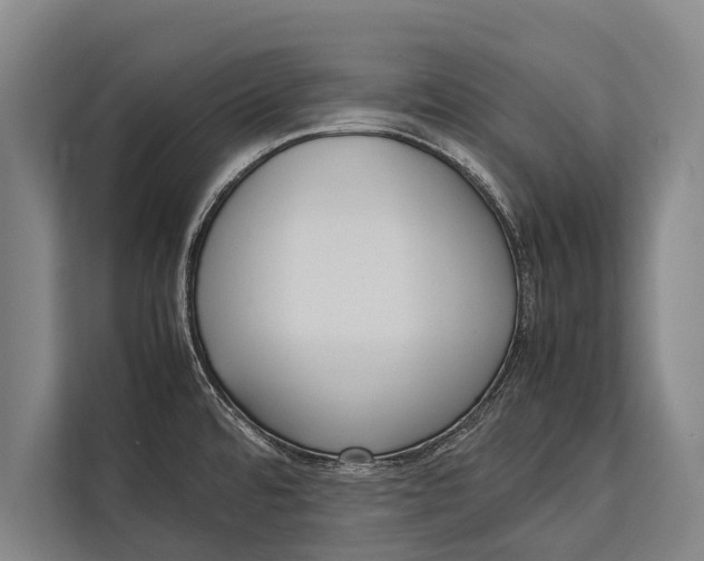 X0000113031480200909171451