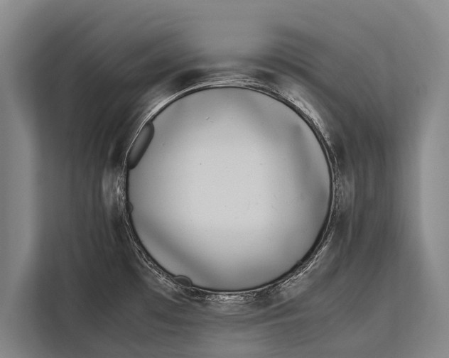 X0000113031481200909171451