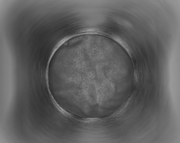 X0000113031482200909171451