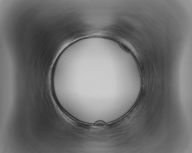 X0000113031483200909171451