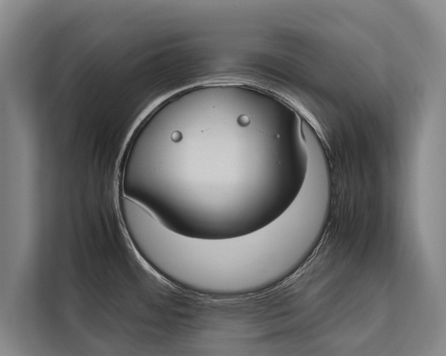 X0000113031484200909171451