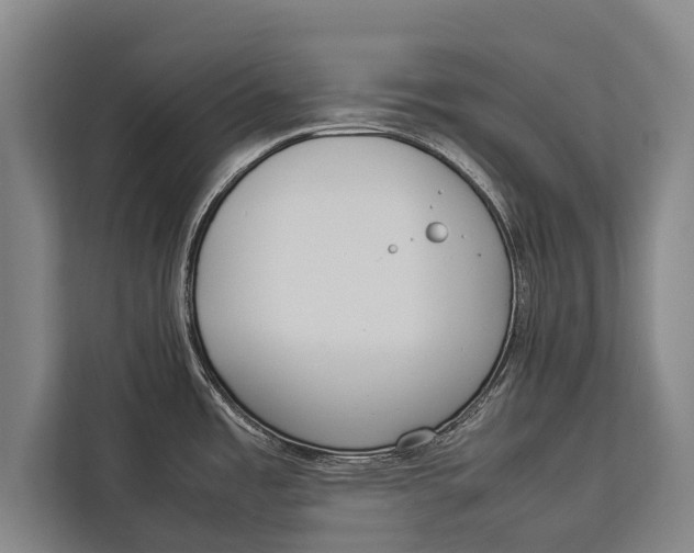 X0000113031485200909171451