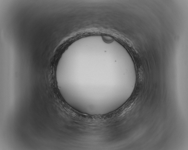 X0000113031494200909171450