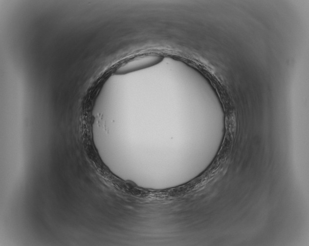 X0000113031496200909171450