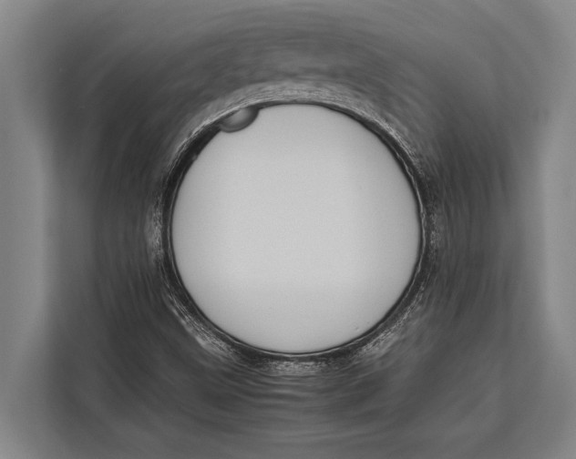 X0000113031499200909171450