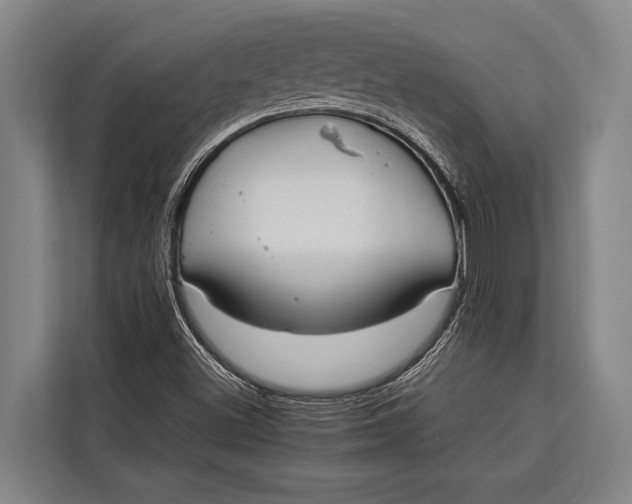 X0000113031500200909171450