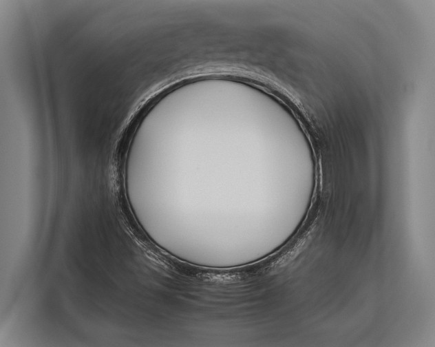 X0000113031501200909171450