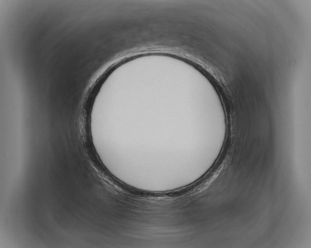 X0000113031502200909171450