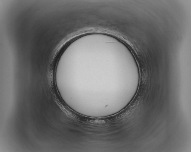 X0000113031503200909171450