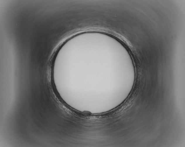 X0000113031504200909171450