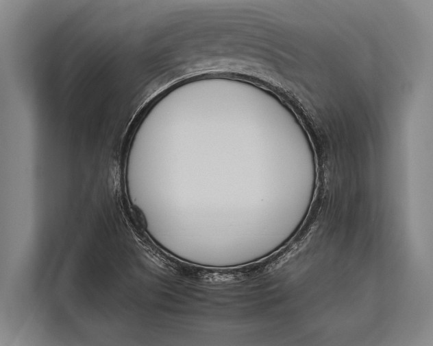 X0000113031505200909171450