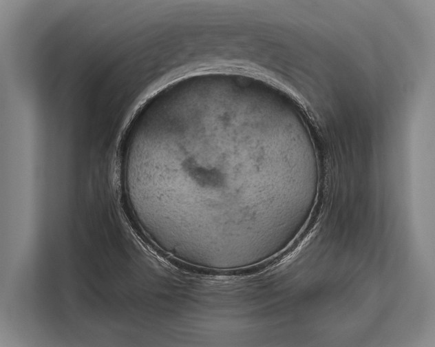 X0000113031506200909171450